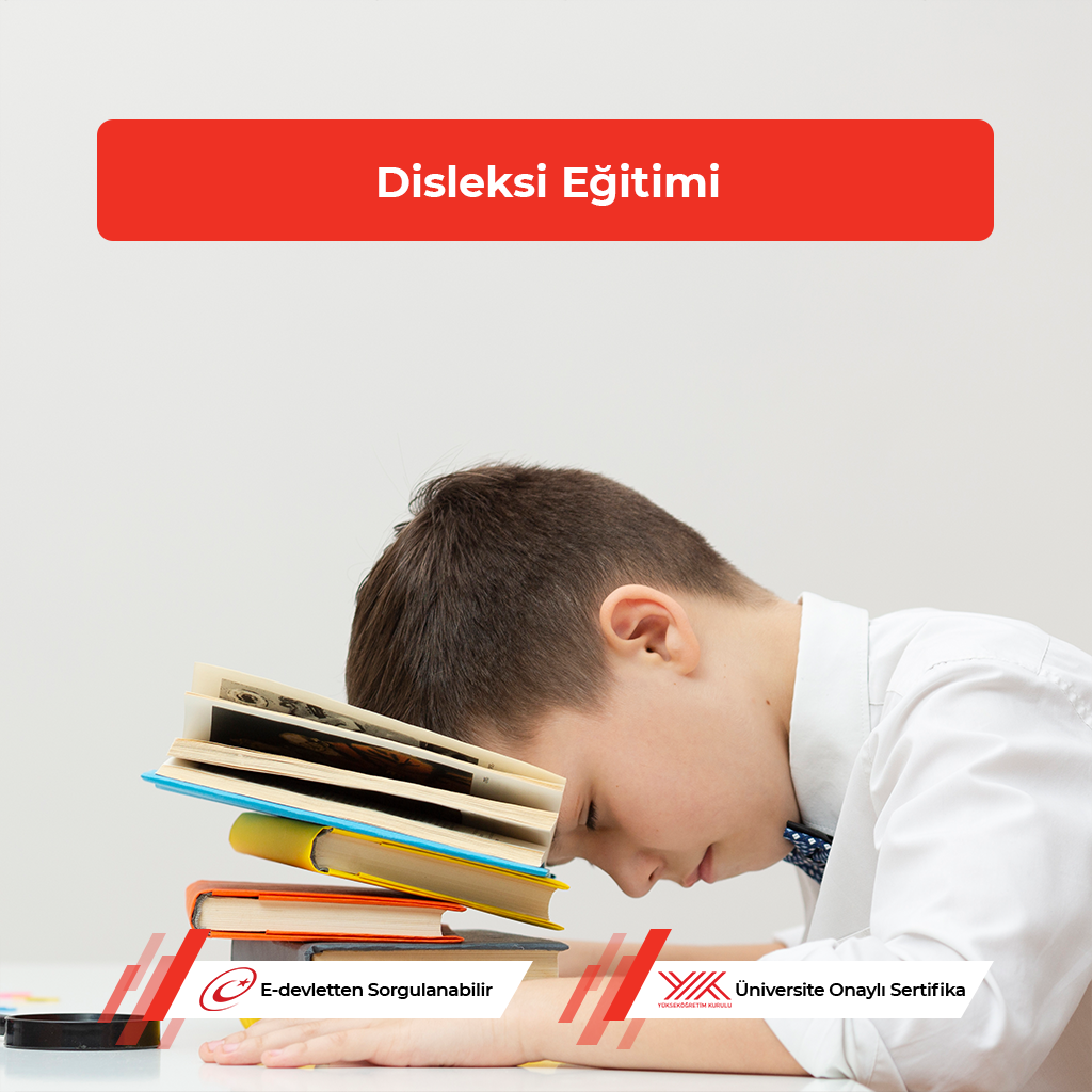 Disleksi Eğitici Eğitimi