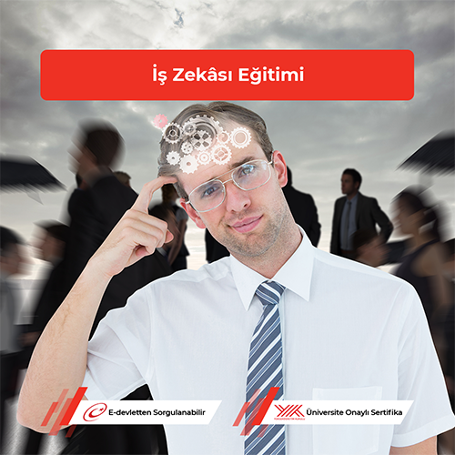 İş Zekâsı Eğitimi