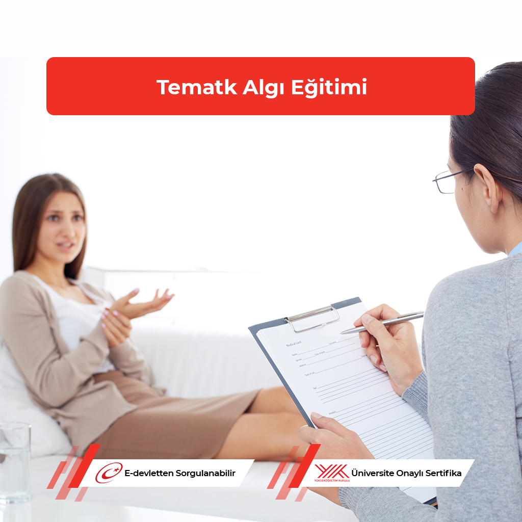 Tematik Algı Testi Eğitimi