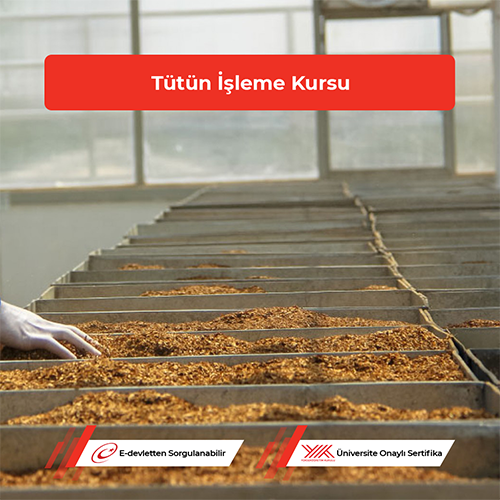 Tütün İşleme Kursu