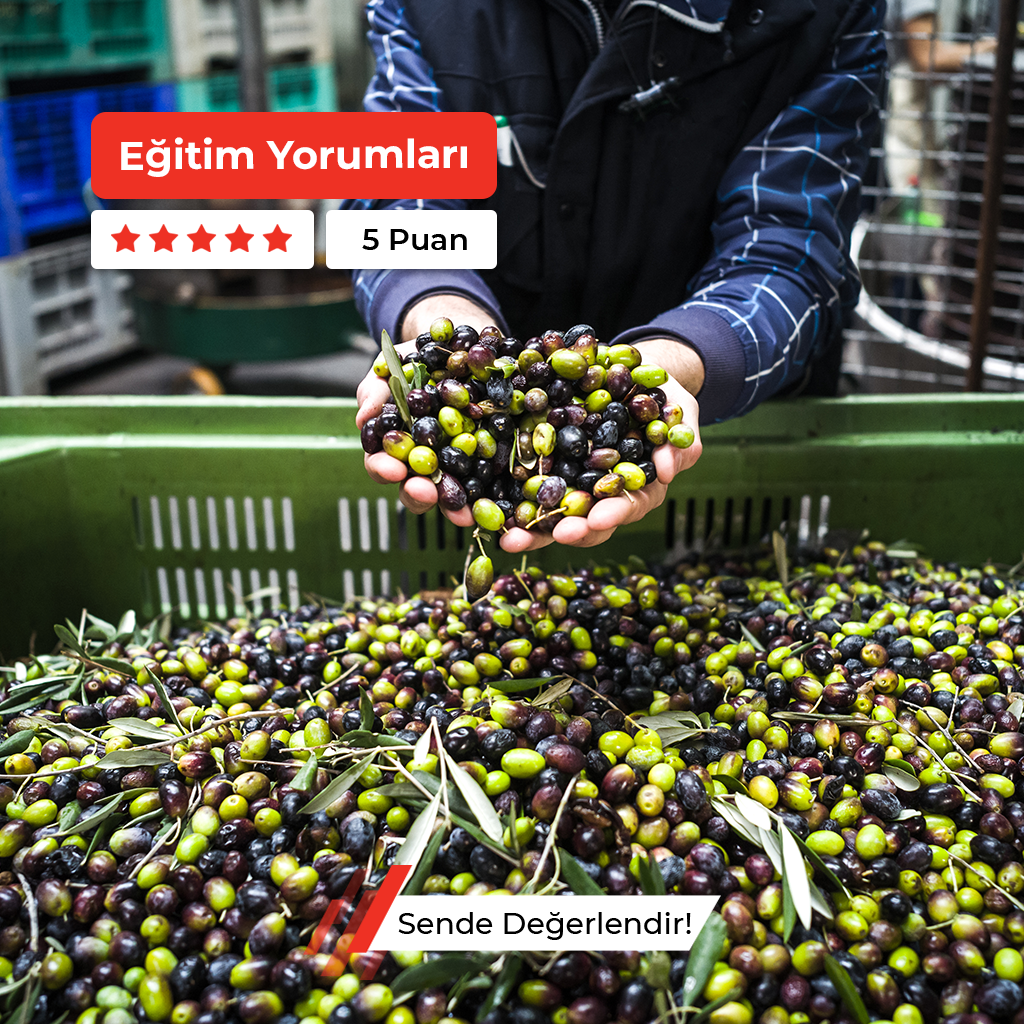 Zeytin İşleme Elemanı Kursu